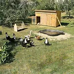 Apartman Jennys Hofladen Usedom Town