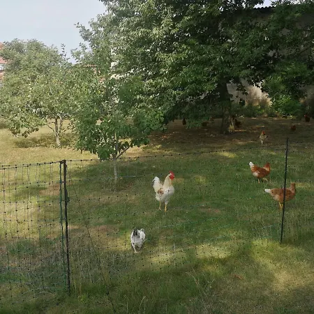 Jennys Hofladen Apartmán