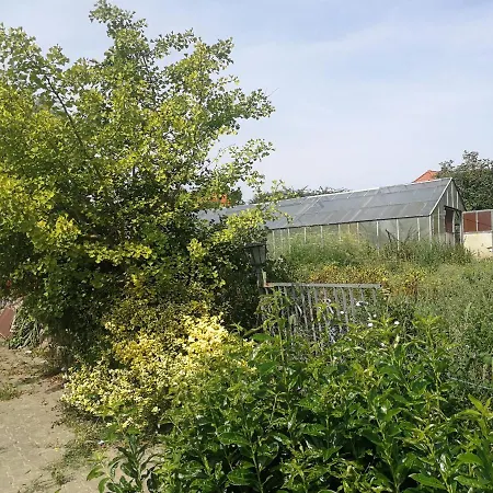 Jennys Hofladen Apartman